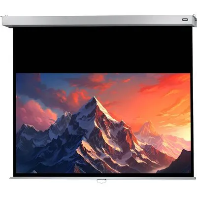 celexon Leinwand Rollo Professional Plus 220 x 124 cm