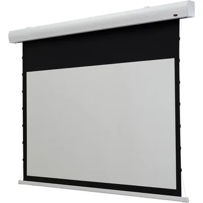 celexon Leinwand Motor Professional 240 x 180 cm