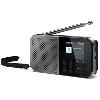 Sharp DR-P520 DAB+/BT/USB C/integr. Akku Radio schwarz (DR-P520OSAKA)