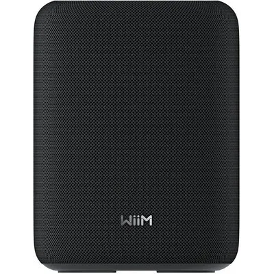 WiiM Sound LITE schwarz Smart Speaker Hi-Res Multiroom Lautsprecher (LPWISNDLB)
