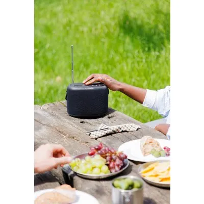 Pure Woodland - Lautsprecher - tragbar - kabellos - Bluetooth 5.1 - 10 Watt - Schwarz (253344)