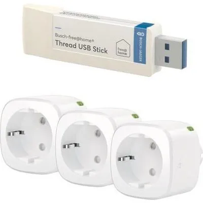 BUSCH JAEGER USB-Stick Set Eve-EEU3TUSB1 (2CKA006200A0965)
