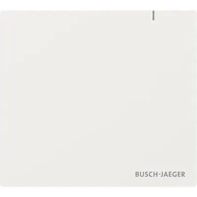 BUSCH JAEGER System Access Point 3.0 Wireless SAP.13-WL (2CKA006200A0967)