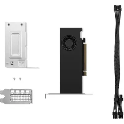 Lenovo NVIDIA RTX 2000 Ada - Grafikkarten - NVIDIA RTX 2000 Ada - 16GB GDDR6 - PCIe 4,0 x8 Low-Profile - 4 x DisplayPort (4X61P69962)