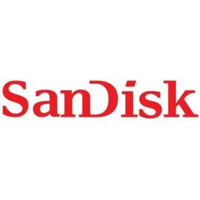 SanDisk Extreme PRO - Flash-Speicherkarte - 256 GB - Video Class V60 / UHS-II - SDXC UHS-II (SDSDXEM-256G-GN4IN)
