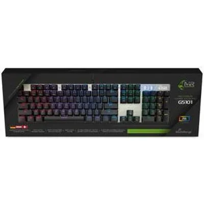 MediaRange MRGS101 Tastatur USB QWERTZ Deutsch Schwarz - Silber (MRGS101)