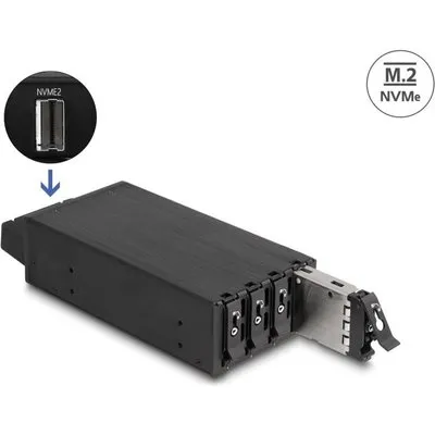 DeLOCK 47126 Computer-Gehäuseteil Rack HDD-Käfig (47126)