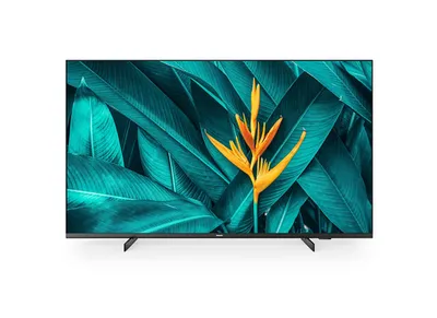 PHILIPS Hotel TV 55HFL5214U/12 139,0cm (55) MediaSuite [Energieklasse F] (55HFL5214U/12)