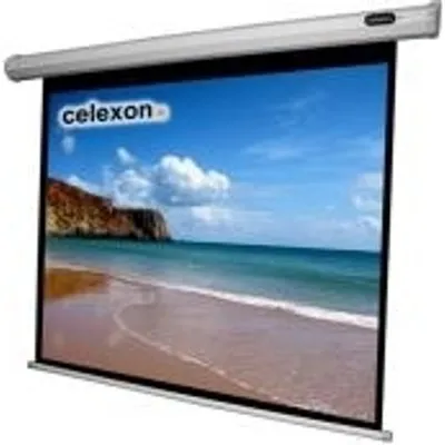 Celexon Economy electric screen - Leinwand - Deckenmontage möglich, geeignet für Wandmontage - motorisiert - 250 cm (98) - 4:3 (1090073)