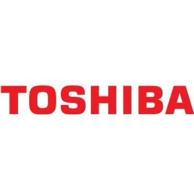Dell Toshiba - Festplatte - 600GB - intern - 2.5 (6,4 cm) - SAS 6Gb/s - 10000 U/min (5R6CX)