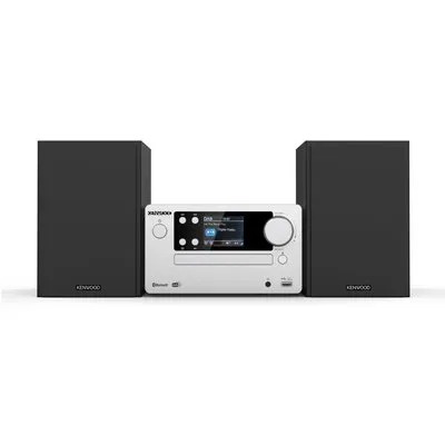 M-725DAB-S Microanlage frosted aluminium