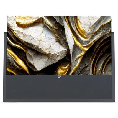 iconic i.65 164 cm (65") OLED-TV graphitgrau