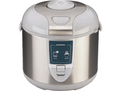 GASTROBACK 42507 Reiskocher (450 Watt, Silber)
