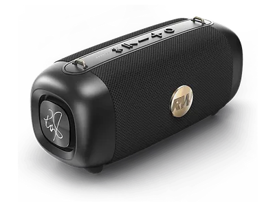 PEAQ ICONIC Vibe 1 PPA 405-RW Bluetooth Lautsprecher, Schwarz, Wasserfest