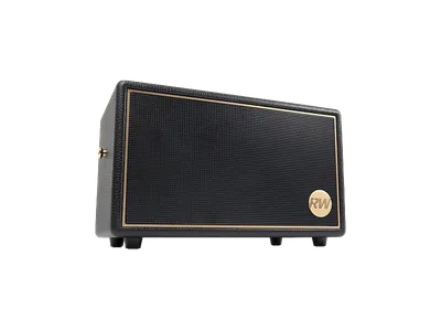 PEAQ ICONIC Vibe 3 PPA 550-RW Lautsprecher, Schwarz mit goldenen Elementen