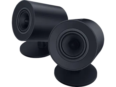 RAZER Nommo V2 X Gaming Lautsprecher, Schwarz