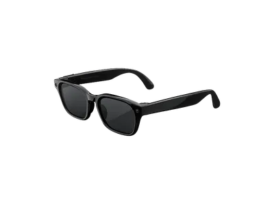 META Meta Adventurer, Klassisches Schwarz, Gläser: Grau (polarisiert) AI Glasses