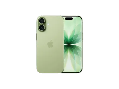 APPLE iPhone 17 5G 256 GB Salbei Dual SIM