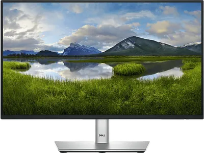 DELL - B2B P2225H 21,5 Zoll Full-HD Business Monitor 8 ms Reaktionszeit