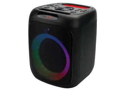 PEAQ PPS 150-1 Party Speaker, Schwarz