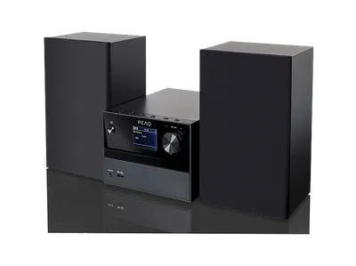 PEAQ PMS 320-1 Micro Hi-Fi System (Schwarz)