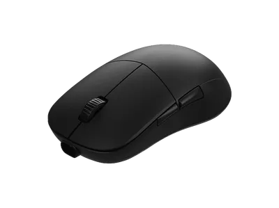 ENDGAME GEAR XM2w 4k v2 Gaming-Maus, Schwarz