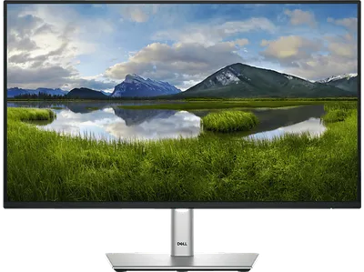 DELL - B2B P2425H 23,8 Zoll Full-HD Business Monitor 5 ms Reaktionszeit 100 Hz