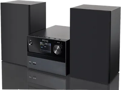 PEAQ PMS 320 Micro Hifi System (Schwarz)