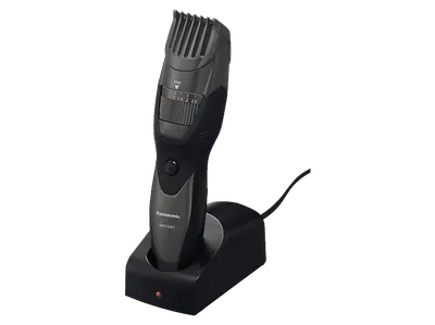 PANASONIC ER-EGB45 Bartschneider