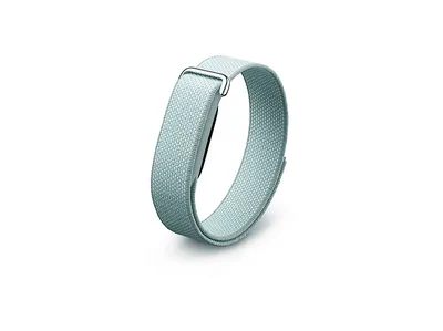 FITBIT Google Fitbit Air Fitness Tracker
