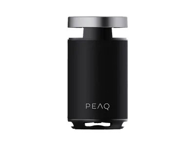 PEAQ PPS 170 Partyspeaker, Schwarz