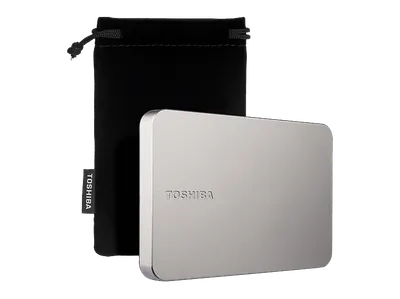 TOSHIBA Canvio Flex Exclusive für USB-C Smartphones, Tablets, Windows PCs und Macs, Festplatte, 2 TB HDD, 2,5 Zoll, extern, Warmes silber