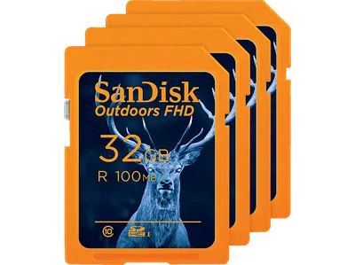 SANDISK Outdoors FHD 4er Pack, SDHC SD-UHS-I-Karte, 32 GB, 100 MB/s