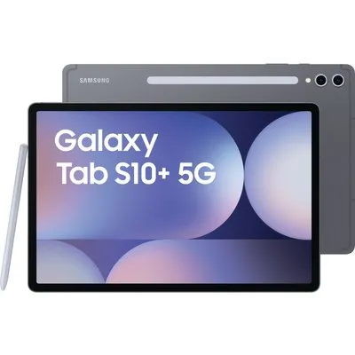 Samsung Galaxy Tab S10 Plus in Moonstone Grau