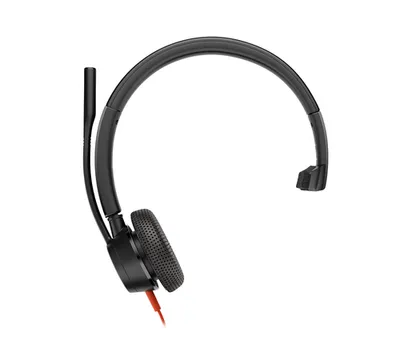 Poly Blackwire 3315 -M USB-C HS +USB-C/A