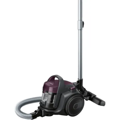 Bosch Cleann'n Allergy BGC05AAA1
