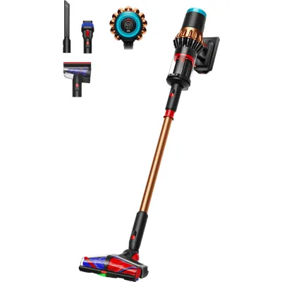 Dyson V16 Piston Animal