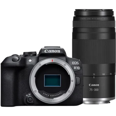 Canon EOS R10 + RF 100-400mm f/5.6-8 IS USM
