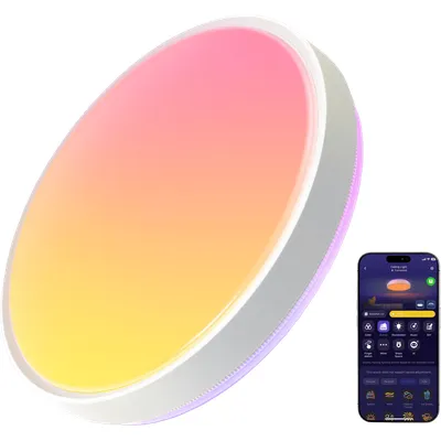 Govee Ceiling Light Pro 15 Zoll