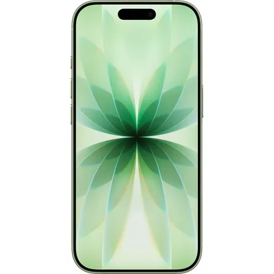 iPhone 17 256GB