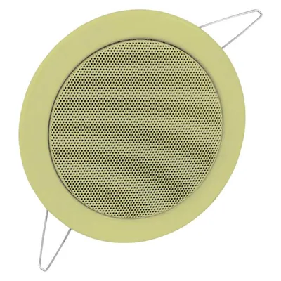 Omnitronic CS-4 (1 Stk.), Einbaulautsprecher, Gold