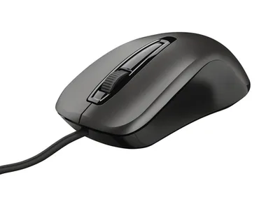Trust Carve Maus USB Typ-A Optisch 1200 DPI Beidhändig (Kabelgebunden), Maus, Schwarz