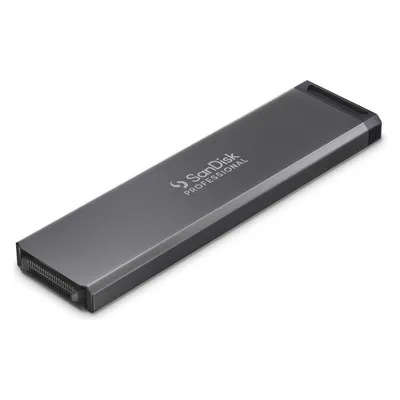 SanDisk Professional PRO-BLADE SSD Mag (1 TB), Externe SSD, Schwarz, Grau