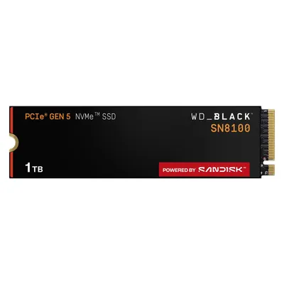 WD Black SN8100 powered by SANDISK (1000 GB, M.2 2280), SSD