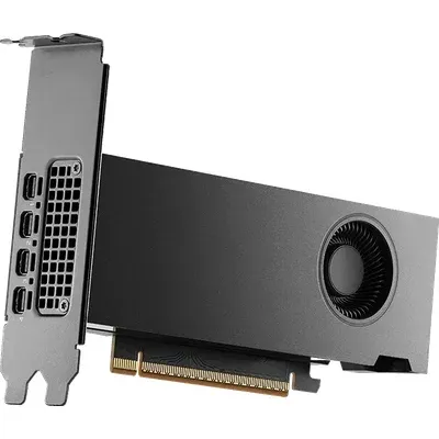 Nvidia RTX Pro 2000 Blackwell Workstation Grafikkarte (16 GB, GDDR7), Grafikkarte, Schwarz