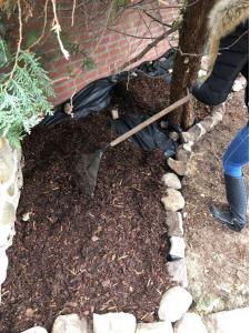 Unkrautfreie Beete durch Unkrautvlies und Rindenmulch